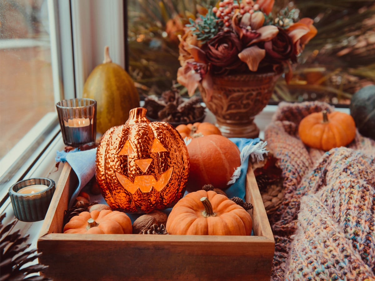 The Enchanted Gloom: A Masterclass in Halloween Home Transformation