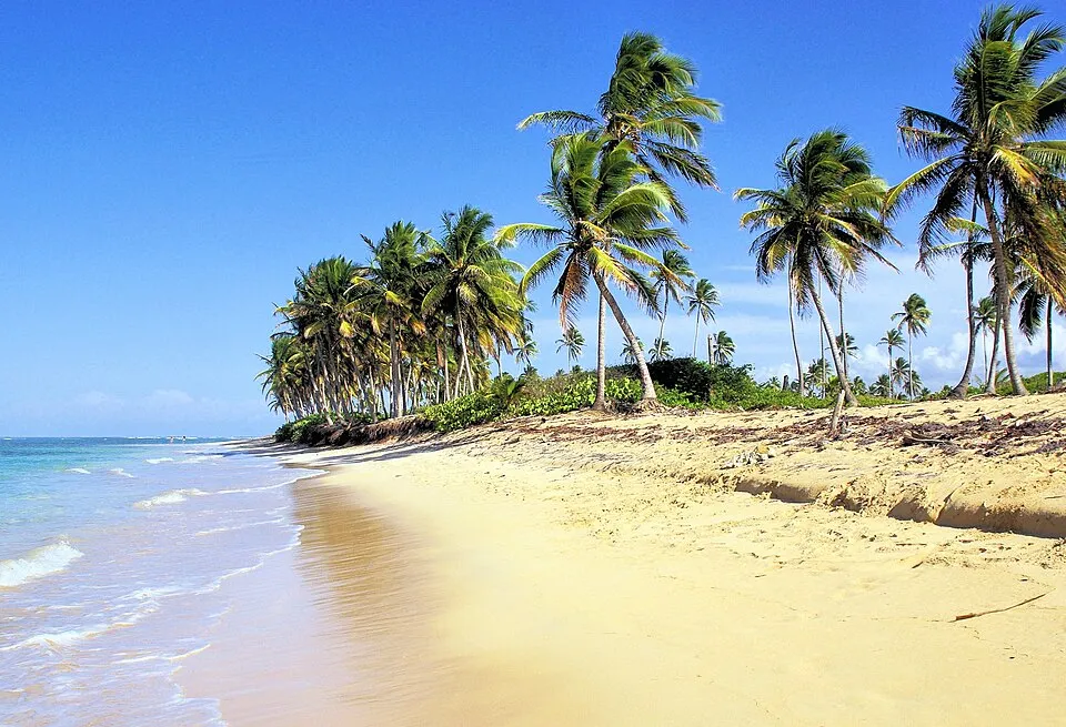 Bávaro tropical beach