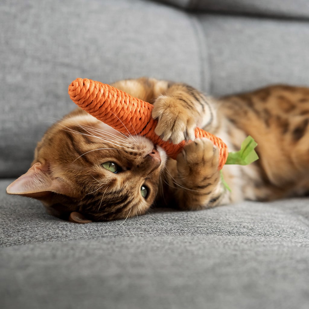 Choosing the right toys